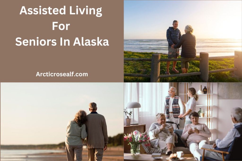 Assisted Living For Seniors In Alaska